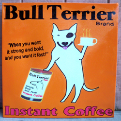 Coffee bull terrier